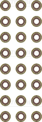 Seal Set, valve stem